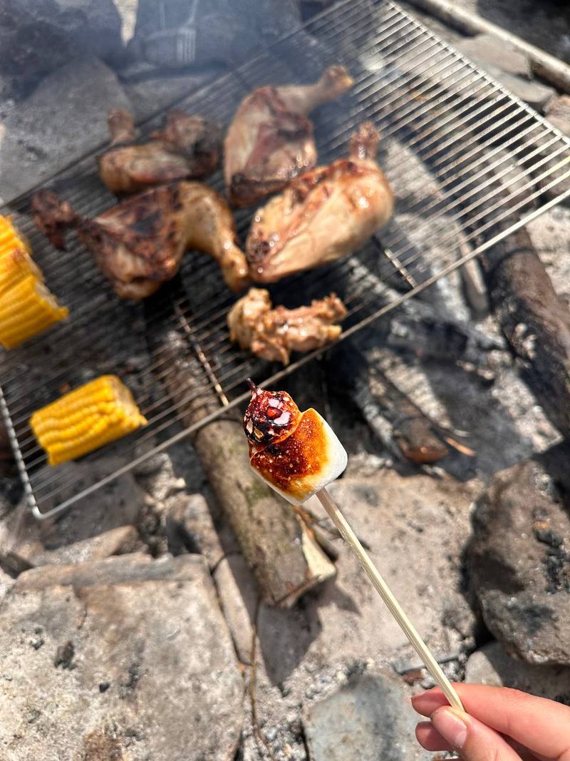 Food grilling over an open fire during the nature day